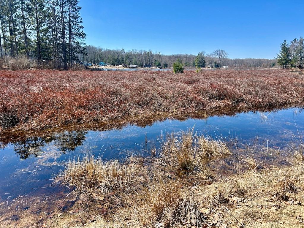 Photo of 5401 Morrow Road, Gladwin, MI 48624 (MLS # 50204080)