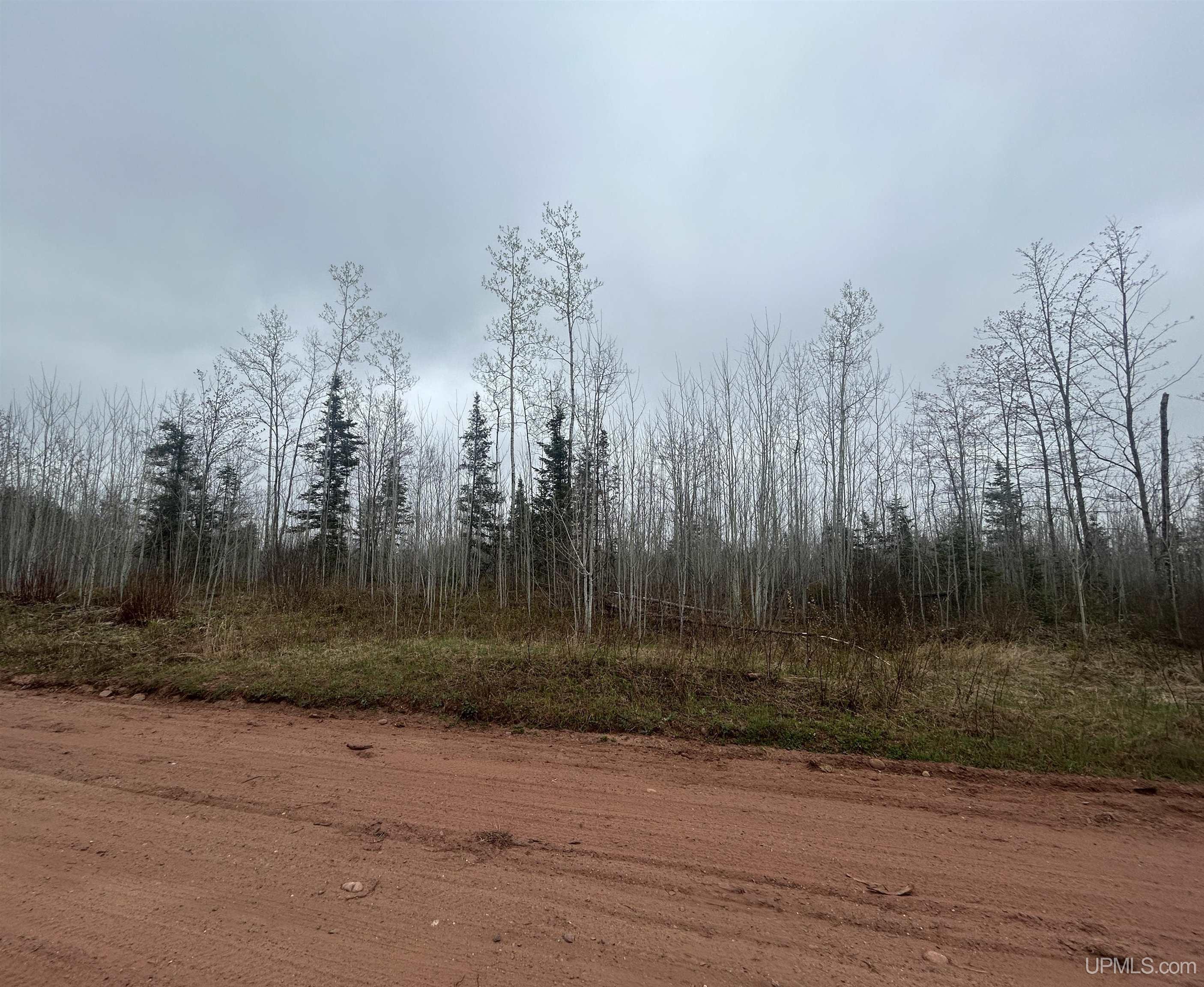 Parcel 1 Iron Pin Trail