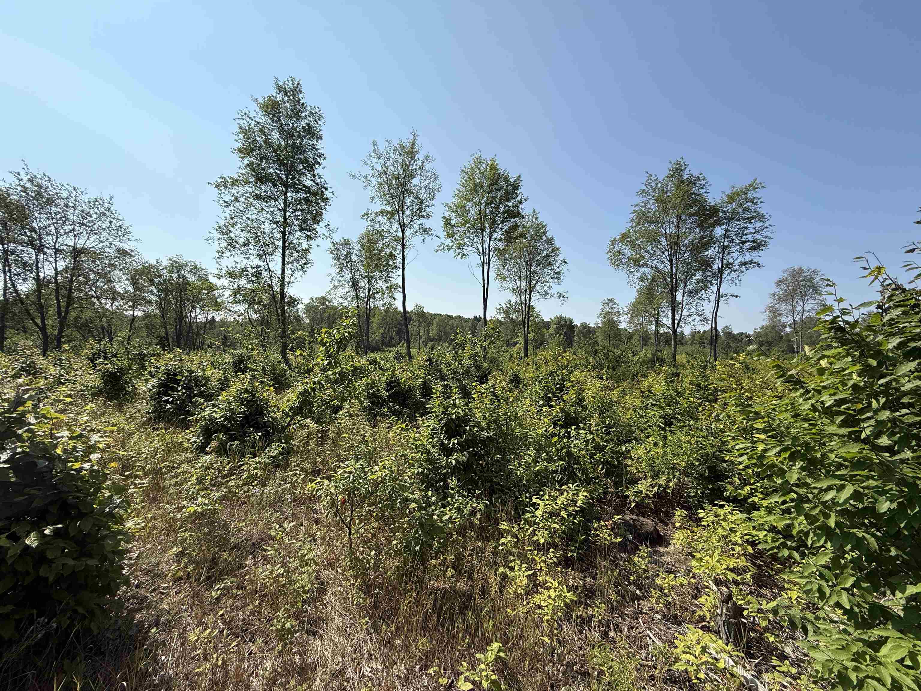 Parcel A 3 E Kasson Road Lot: A3