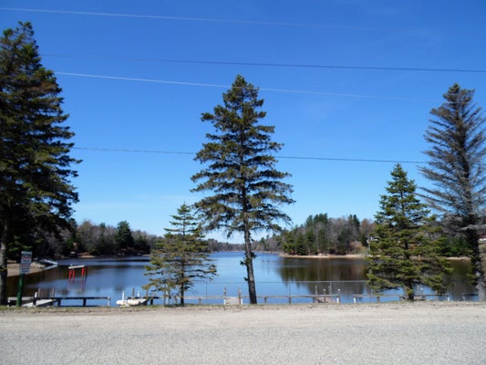 N FOREST LAKE DR, ALGER, MI 48610 - Image 9562f3c9dceda2e2dfdabbf10f553473/3593605928