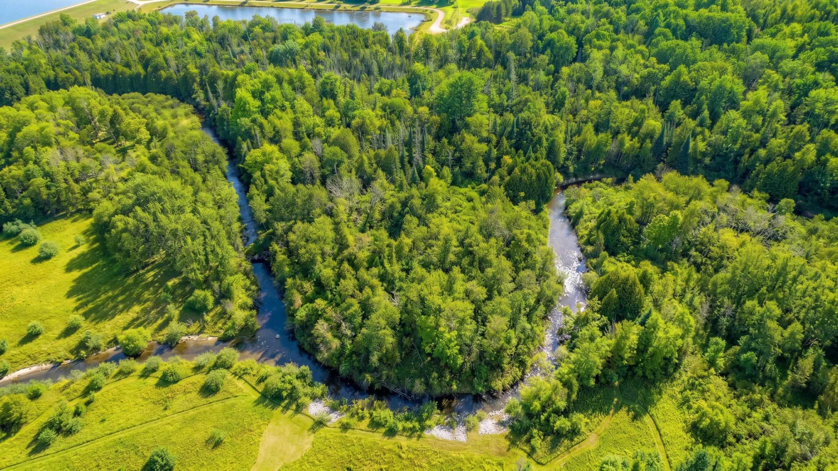 35.11 Acres N Hockaday Road