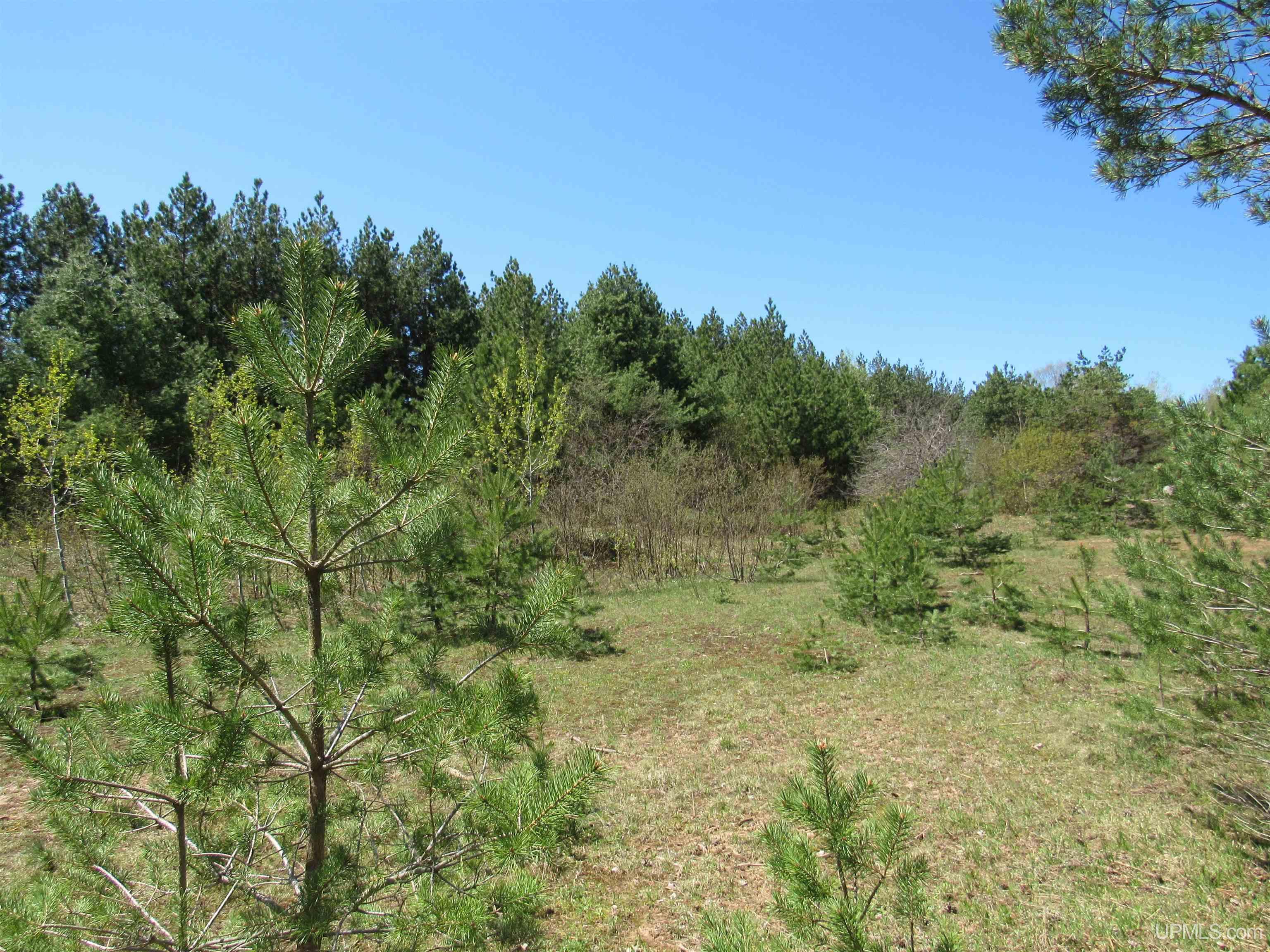 40 Acres Off Snowmobile Trail 133 Trail