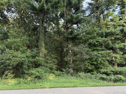 CAMPBELL LAKE DR, PARMA, MI 49269 - Image 97fadf5f2df746126942e921b82f72be/1292149677