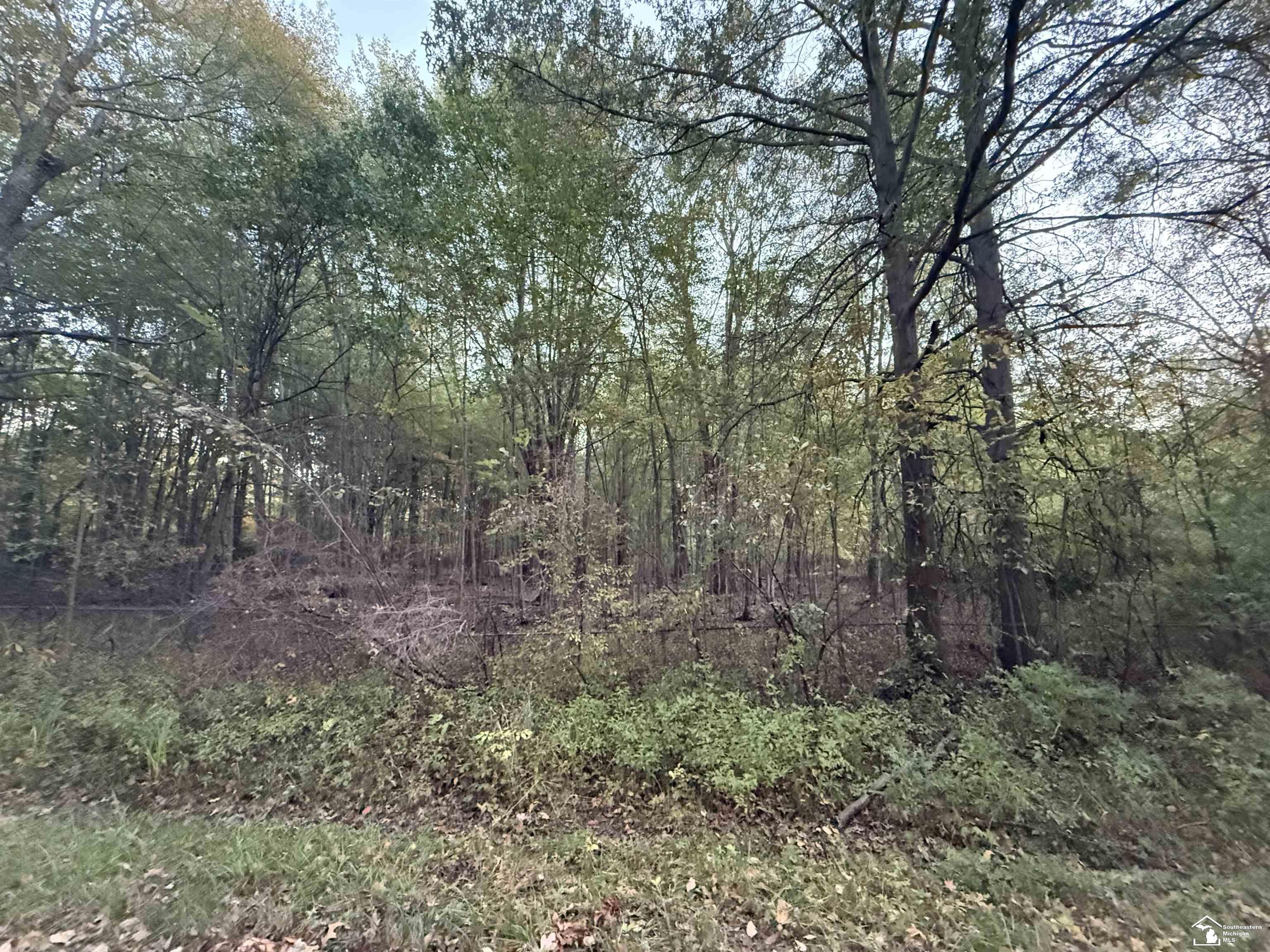 0 Eggert Road