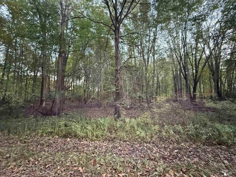 0 Eggert Road Dundee MI 48131