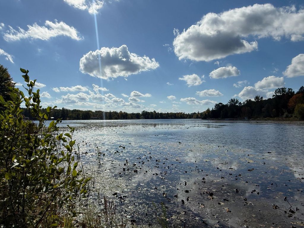 Photo of 5641 Lakeside Drive, Gladwin, MI 48624 (MLS # 50191328)