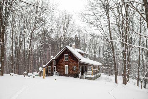 2995 S Schomberg Road Lot: 2 Cedar MI 49621