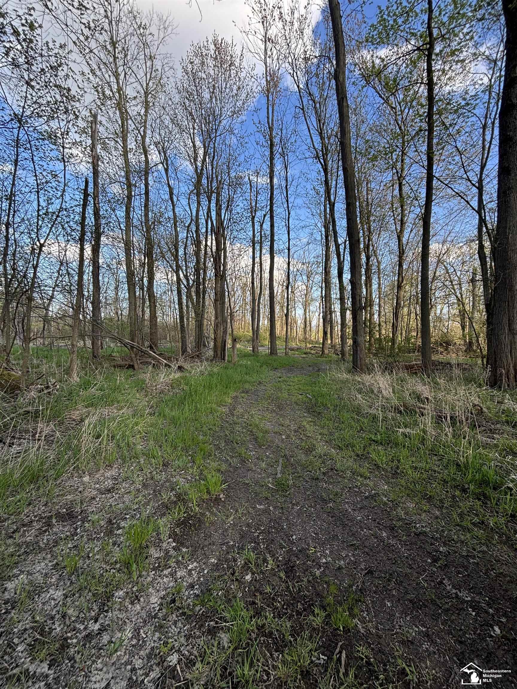 La Salle, Michigan 48145, United States, 4 Bedrooms Bedrooms, ,4 BathroomsBathrooms,Residential,Active,124624