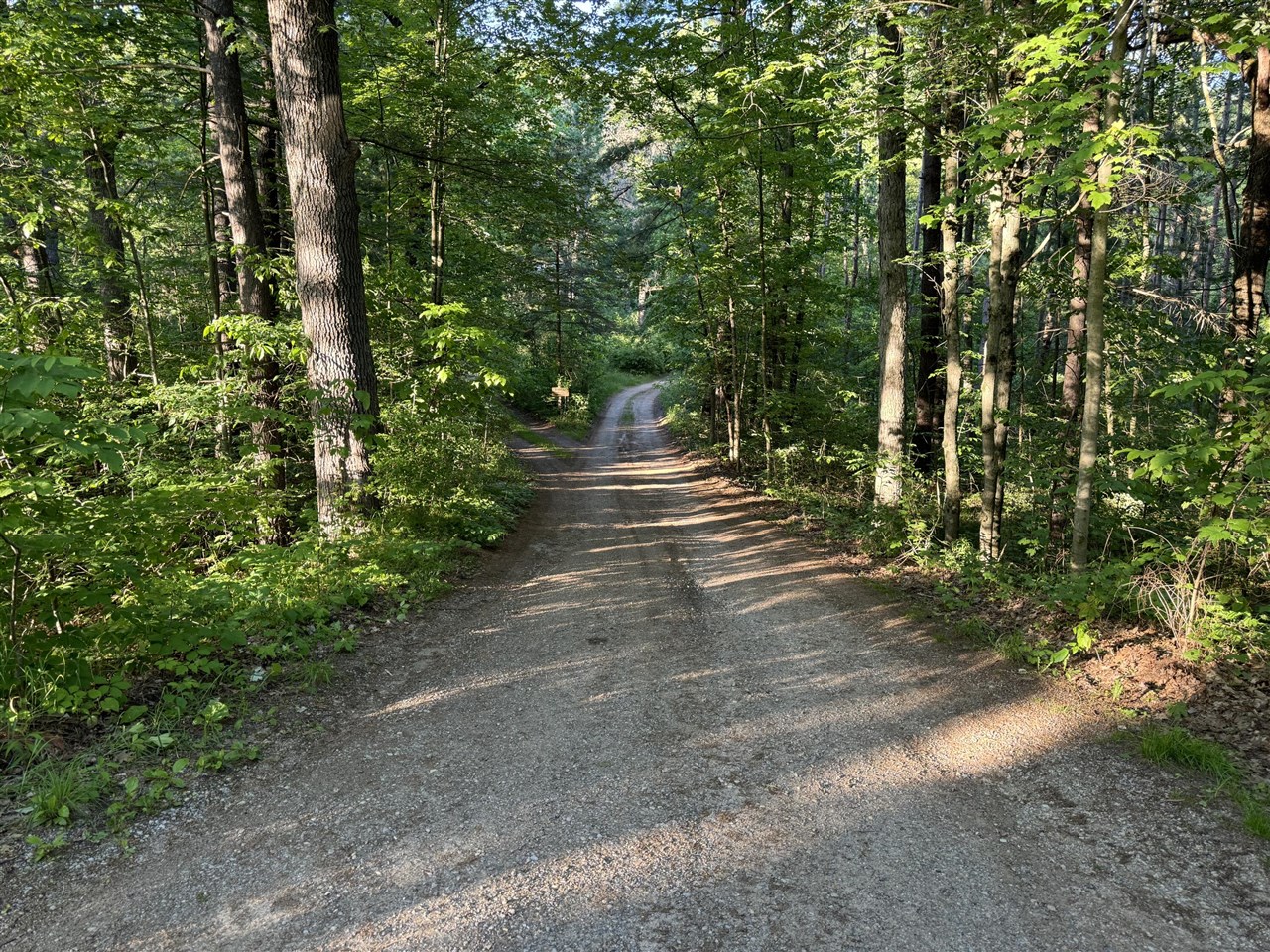 VL E Woodlawn Avenue