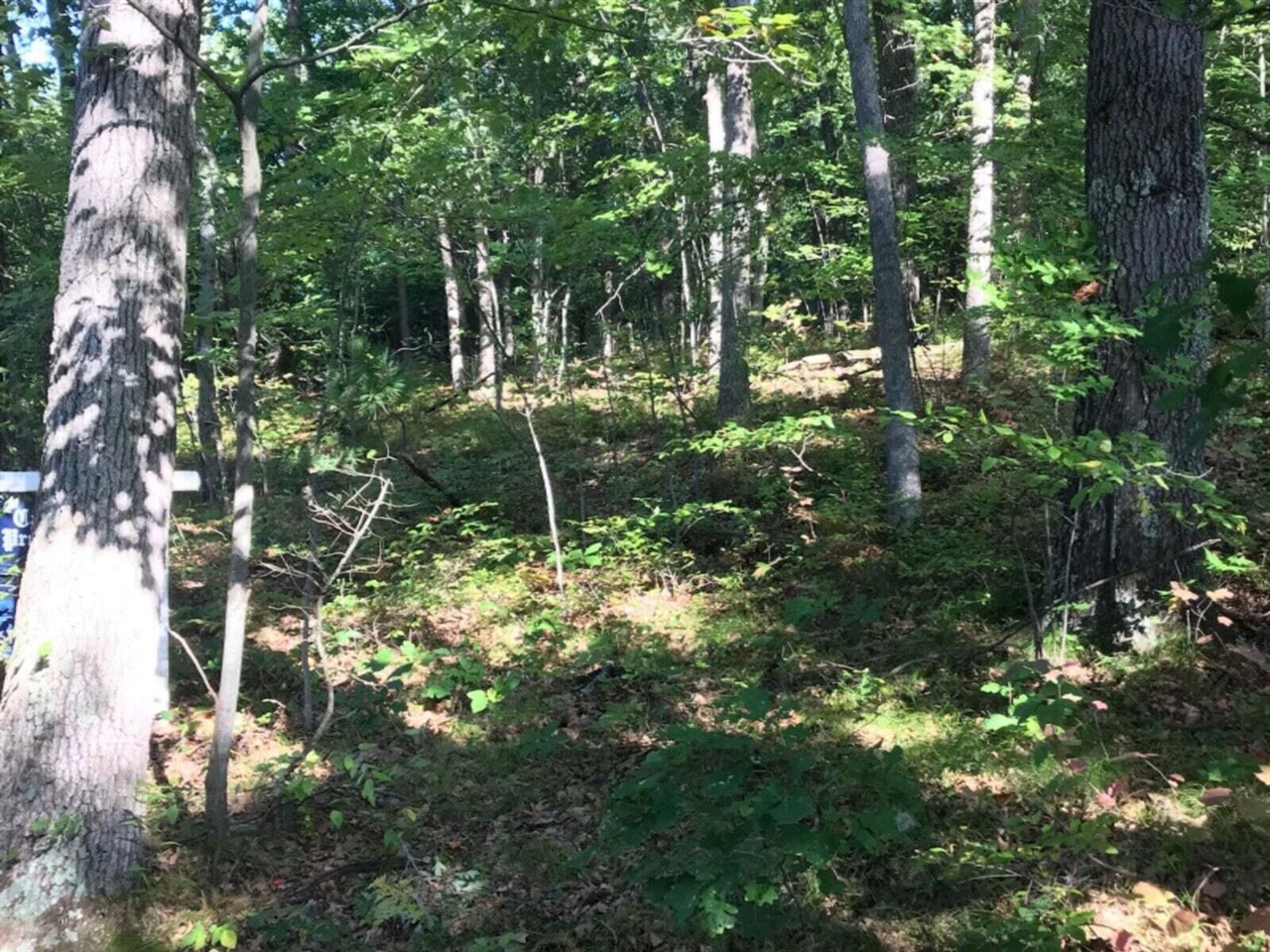 VL E Woodlawn Avenue