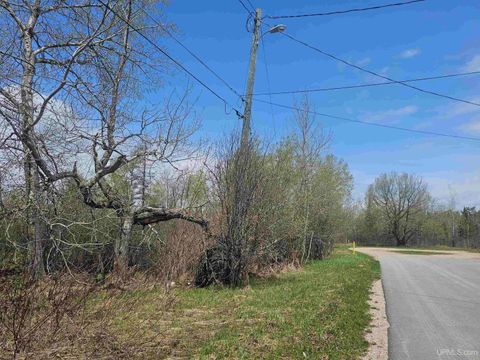 Photo of 9 N Fourth Street, Manistique, MI 49854 (MLS # 50208185)