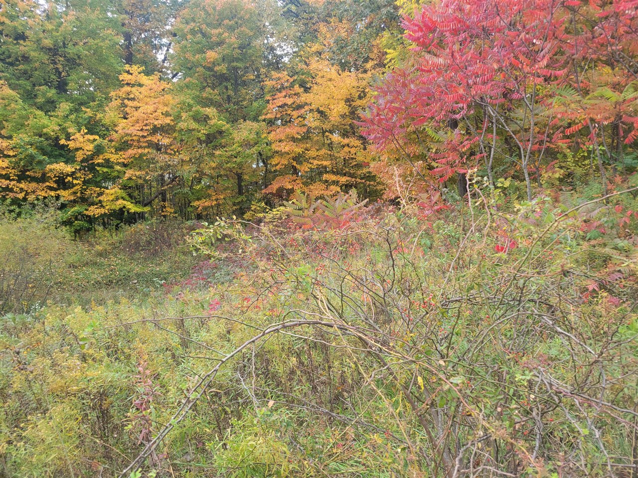 74032 Ridgeway Drive