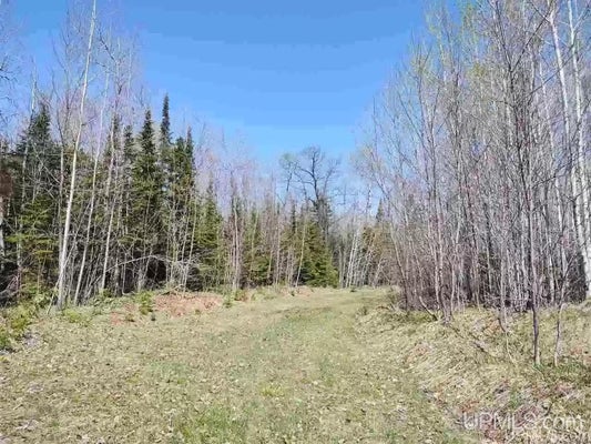 TBD WOODSPUR ROAD, ONTONAGON, MI 49953 - Image a15c8f01a069d4ac6080ab9fa6435c2e/2920491445