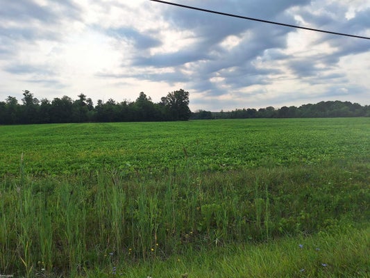N STREET RD, NORTH STREET, MI 48049 - Image a16fcaba326fef31785af4dff276065a/3735309536