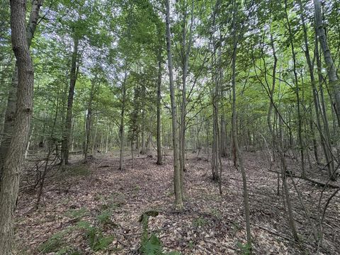 Photo of 109th Avenue, Pullman, MI 49450 (MLS # 70542648)