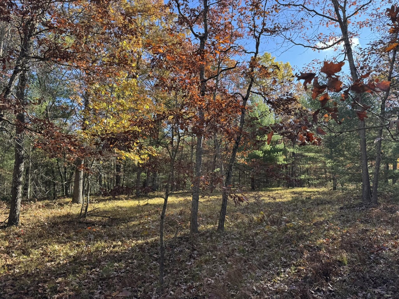 Parcel 4 County Line Road