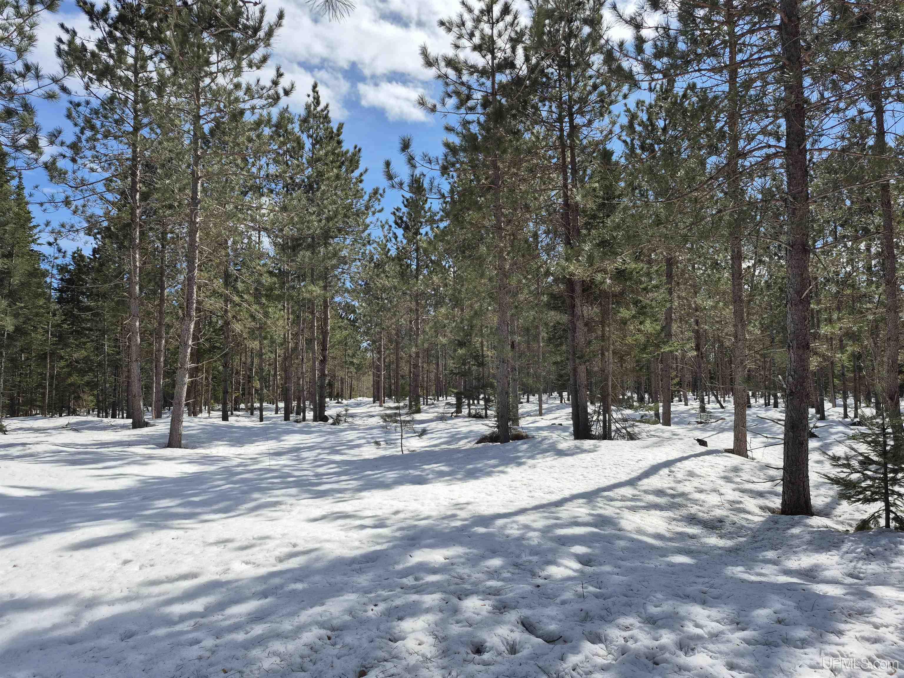 20 Acres off Flodin Road
