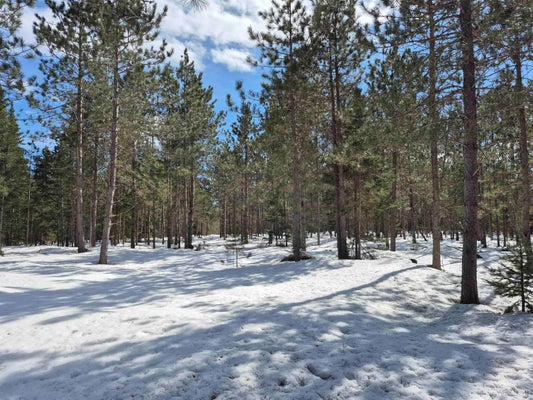 FLODIN RD, MANISTIQUE, MI 49854 - Image a484048381ec2d3551d9dbb970582f01/3970915547