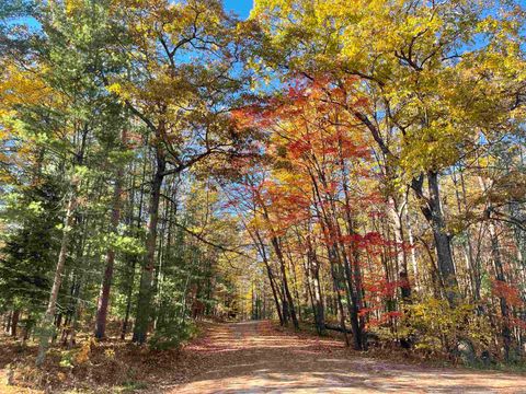Photo of 3037 Dockery Road, Nw Lot 1 - West #Lot 1 - West, Williamsburg, MI 49690 (MLS # 80066131)
