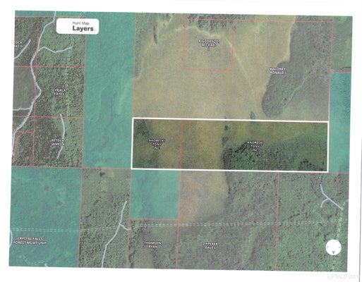 TBD WESTS ROAD, AMASA, MI 49903 - Image a5189e2edbc0bb561f690049c49cd554/4228498749