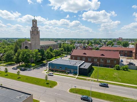 11505 LIVERNOIS Avenue Detroit MI 48204