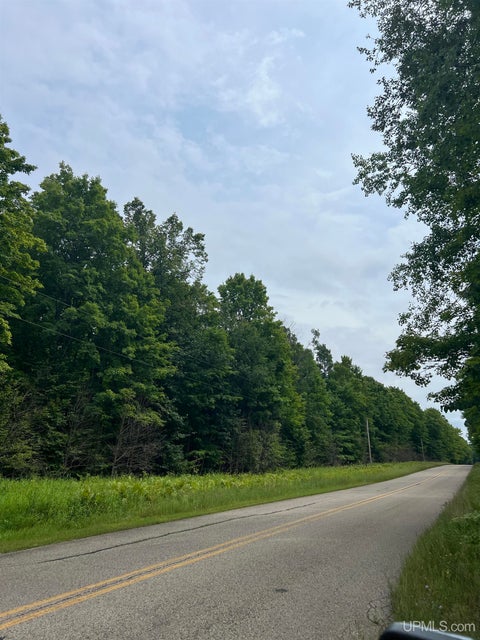 Photo of TBD Camp Five Road, Crystal Falls, MI 49920 (MLS # 50223955)