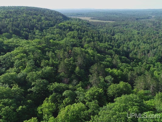 COUNTY RD AT, CHAMPION, MI 49814 - Image aa6f7fe7a6556abb172f96da7cf5d28b/1084623427