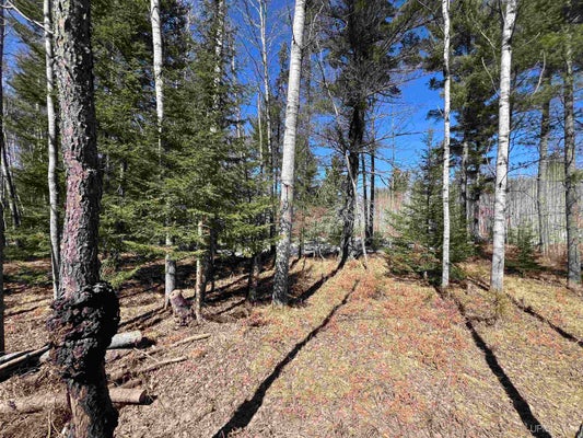 TBD CO 424 ROAD, CRYSTAL FALLS, MI 49920 - Image aa7d7801e6160bdd2e7a3e85a4b96b02/3677542344