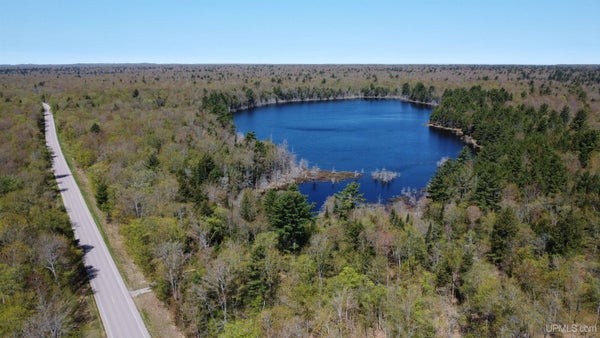 ADAMS TRL, SHINGLETON, MI 49884 - Image ab7da7e1782eec30f65476079c8fcf45/3967034734