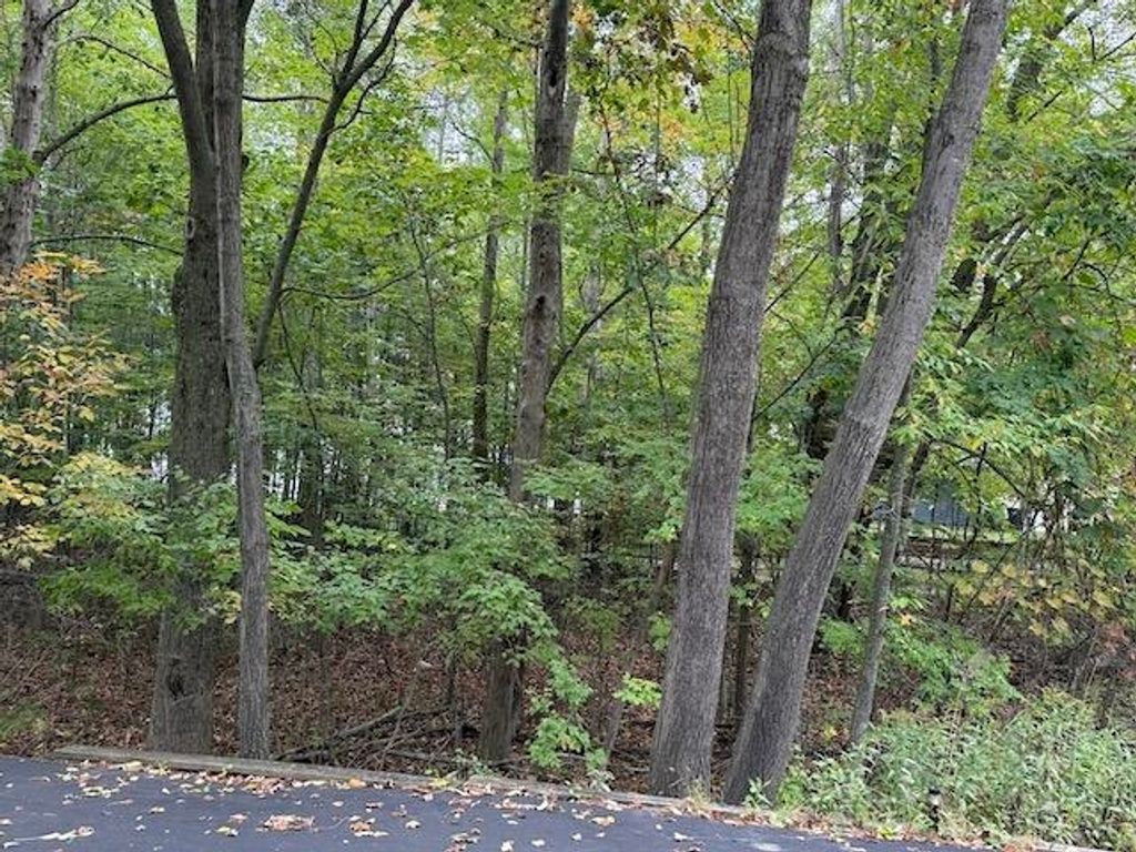 Photo of 36 SALISBURY Drive, Gladwin, MI 48624 (MLS # 50189671)