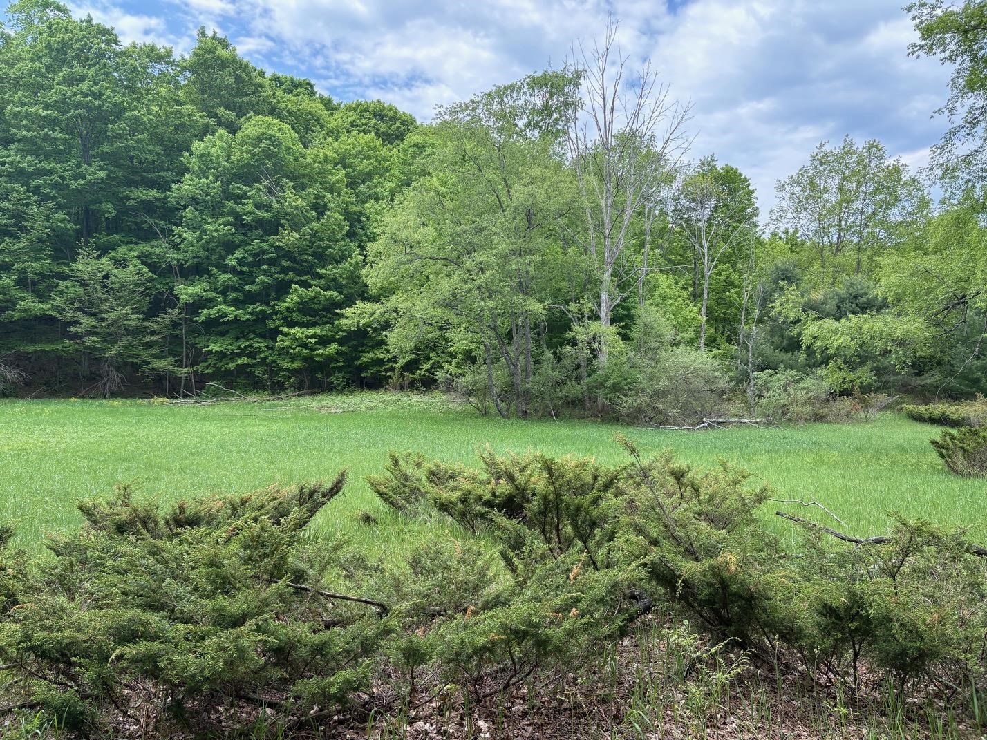 13631 S Beaver Pond Road
