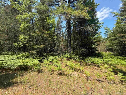 TALL TIMBER TRL, LAKE LINDEN, MI 49945 - Image b0e49cde0ec6f1df0e1c7c4a421fa918/4020886474