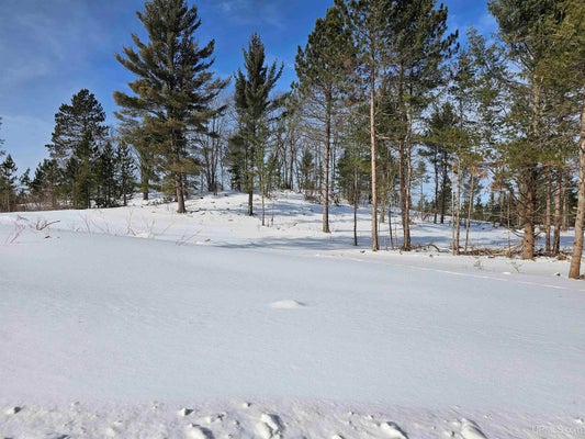 TBD 75.5 ACRES OFF CO RD CF ROAD, ISHPEMING, MI 49849 - Image b1780c2aba57227e15b0455ab64f47c7/1163186830
