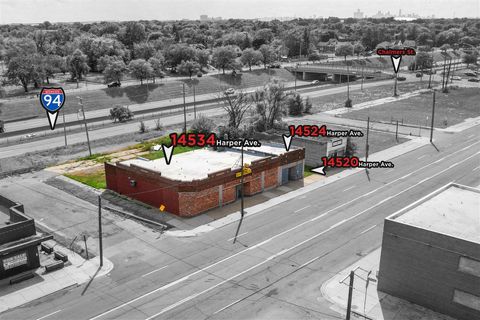 Photo of 14534 Harper Avenue, Detroit, MI 48224 (MLS # 70494453)