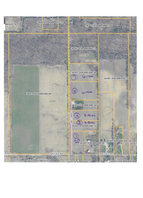 Photo of V/L Janet Dr Parcel 1, Saranac, MI 48881 (MLS # 70519479)