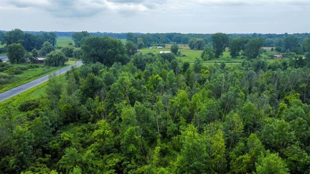 60196 County Road 376