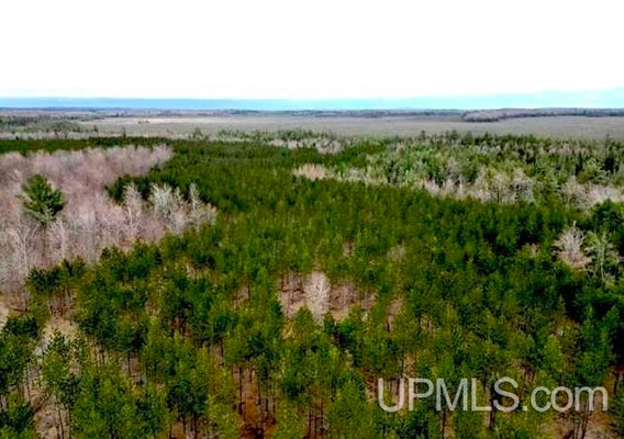 RED, MICHIGAMME, MI 49861 - Image b5f1a092ebb33c71124b84872cf607d4/847929042