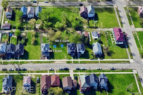 Photo of 562 E Euclid Street, Detroit, MI 48202 (MLS # 60981483)