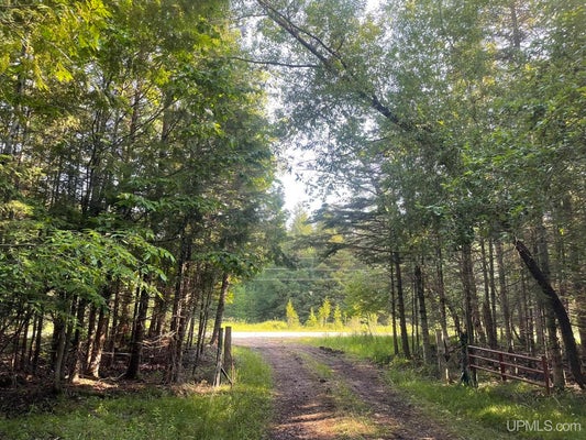 TBD 17TH RD ROAD, GARDEN, MI 49835 - Image bbe6db716efa60cd4e28dcbb0fe30e80/3996442939