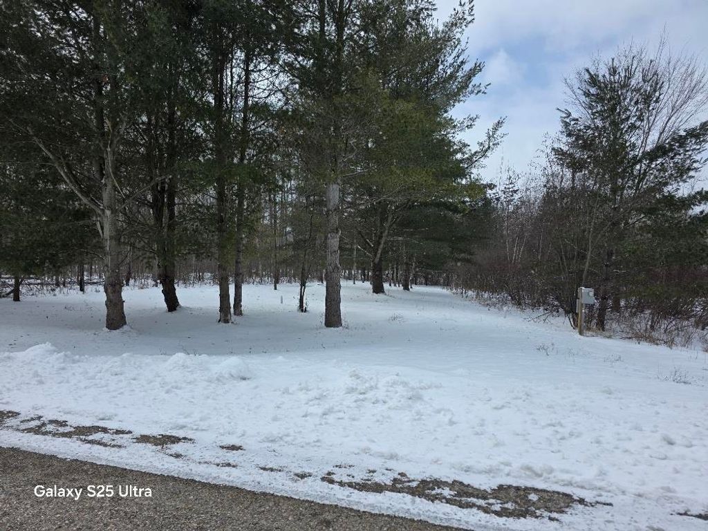 Photo of 5363 Knightsway Way #Lot 30 Knights Way, Gladwin, MI 48624 (MLS # 50201862)