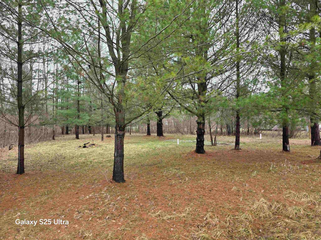 Photo of 5363 Knightsway Way #Lot 30 Knights Way, Gladwin, MI 48624 (MLS # 50201862)