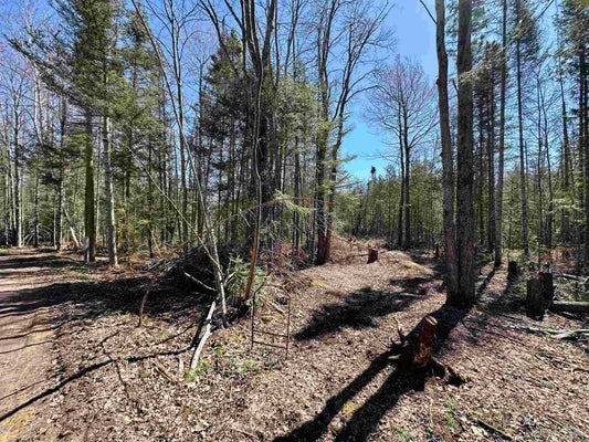 104 CINDY LN, MARQUETTE, MI 49855 - Image bdcd3d0c5c2b8d667b3bfdb218f94d34/900261214