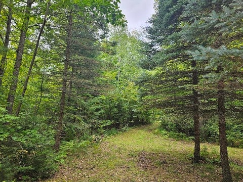 Photo of 3900 N M 30 Road, Gladwin, MI 48624 (MLS # 50187517)