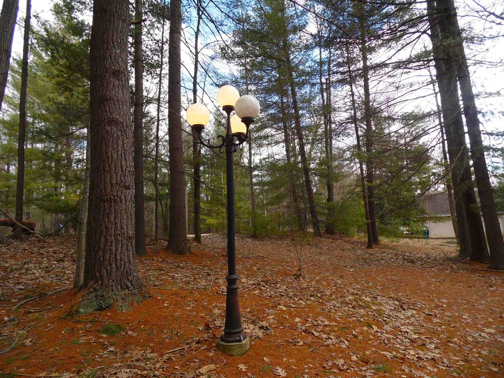 Photo of 1741 S Whitney Road, Beaverton, MI 48612 (MLS # 50202977)