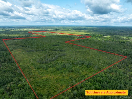 4889 E MAPLE RIDGE 37TH RD, ROCK, MI 49880 - Image bf92167a0b0bc696cb1dcd987ac5256f/3668498458
