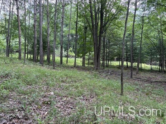 E H ST, IRON MOUNTAIN, MI 49801 - Image c1ca16de217e52dca6aeda89920a1174/4093674150