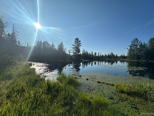 INDIAN LAKE RD, MICHIGAMME, MI 49861 - Image c3034c19af504b390a58c55e96883cba/750109987