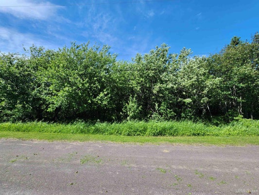 TBD A NO 4 ROAD, CALUMET, MI 49913 - Image c4a6a9484b8f7d4cfc61e9f136efe7e0/3935800529