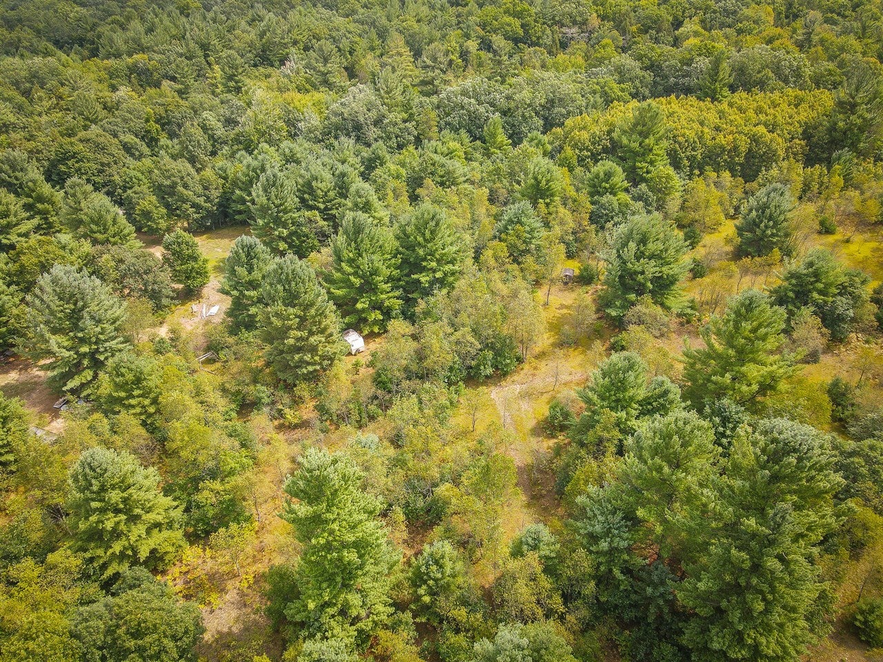 Properties Available 4 - 4 V/L S 142nd Avenue