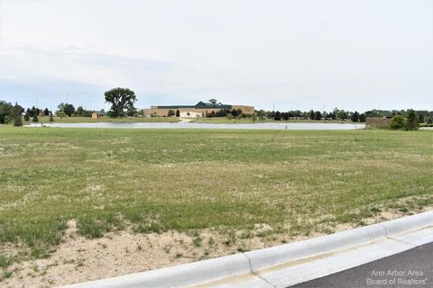 16484 Tecumseh Dundee MI 48131